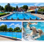 Rückblick auf die Freibadsaison 2026