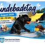 Wenn die Hunde das Freibad übernehmen